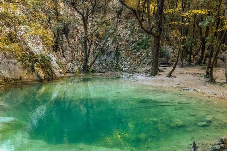 Sentonina Staza