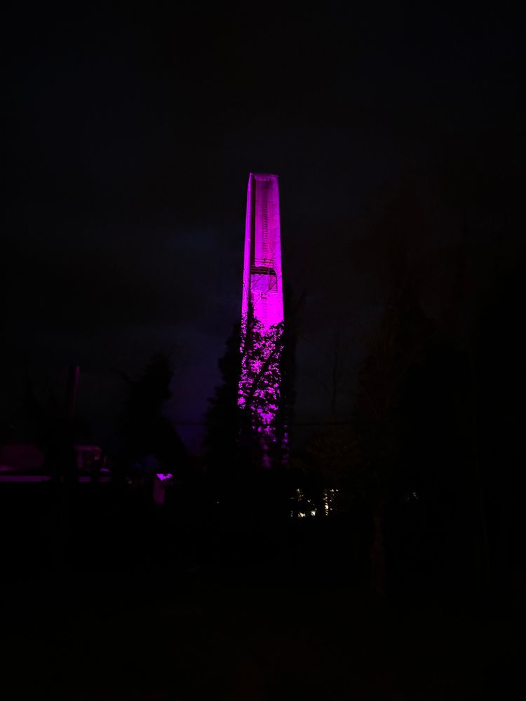 Img 2954