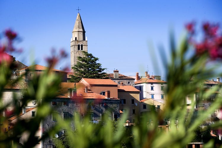 Stari Grad Labin Panorama 1