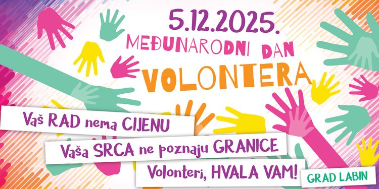 Volonteri 2025